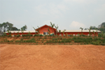 Primary School Primary School